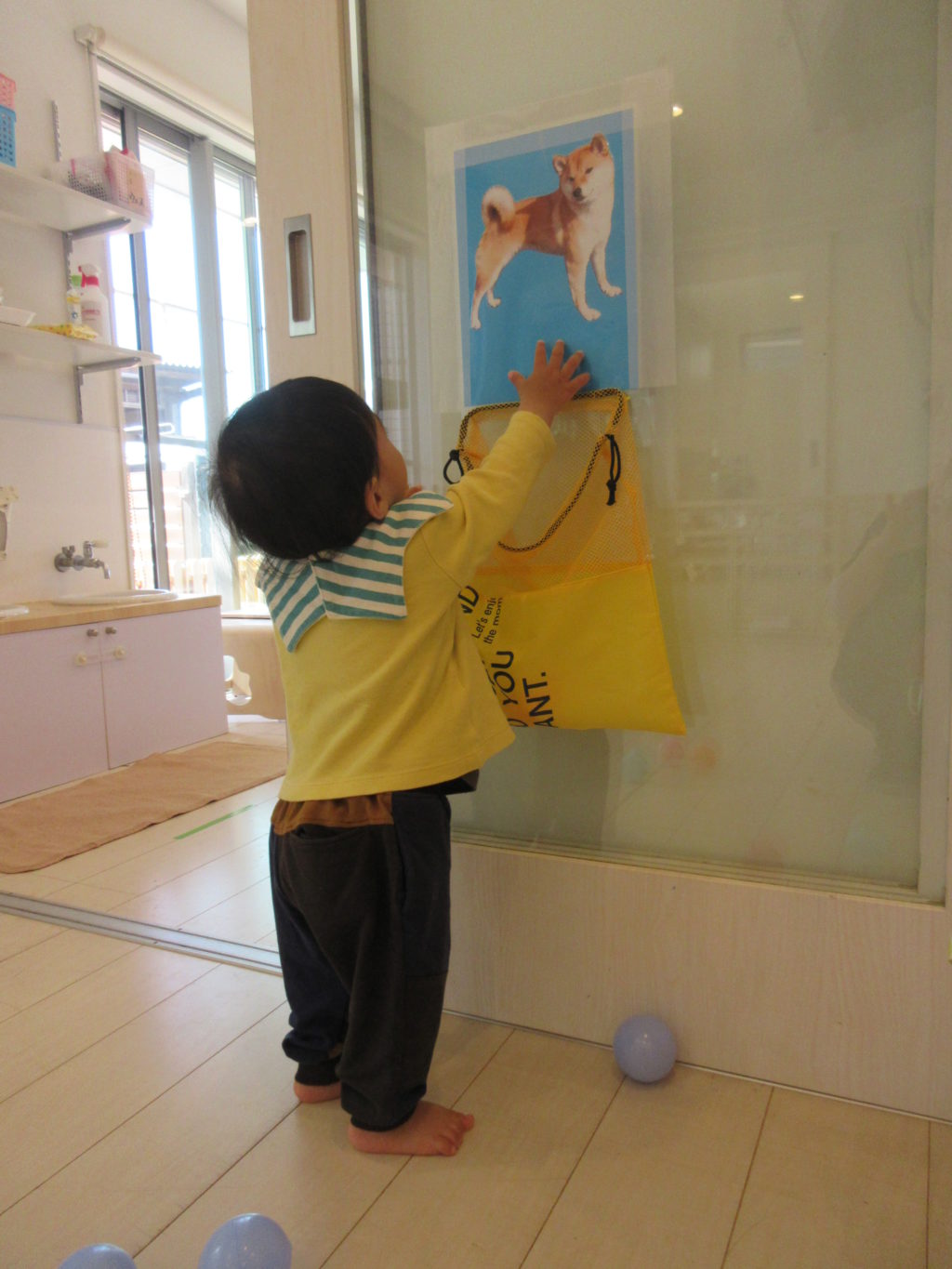 【Montessoriちゃいるどはうす中吉田_021】壁貼りボールネット