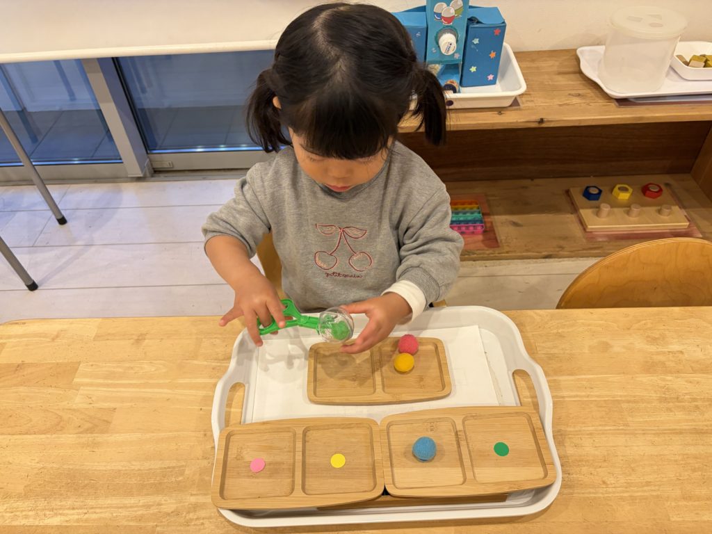 【Montessoriちゃいるどはうす中吉田_066】バグキャッチャーでフェルトボールをキャッチ